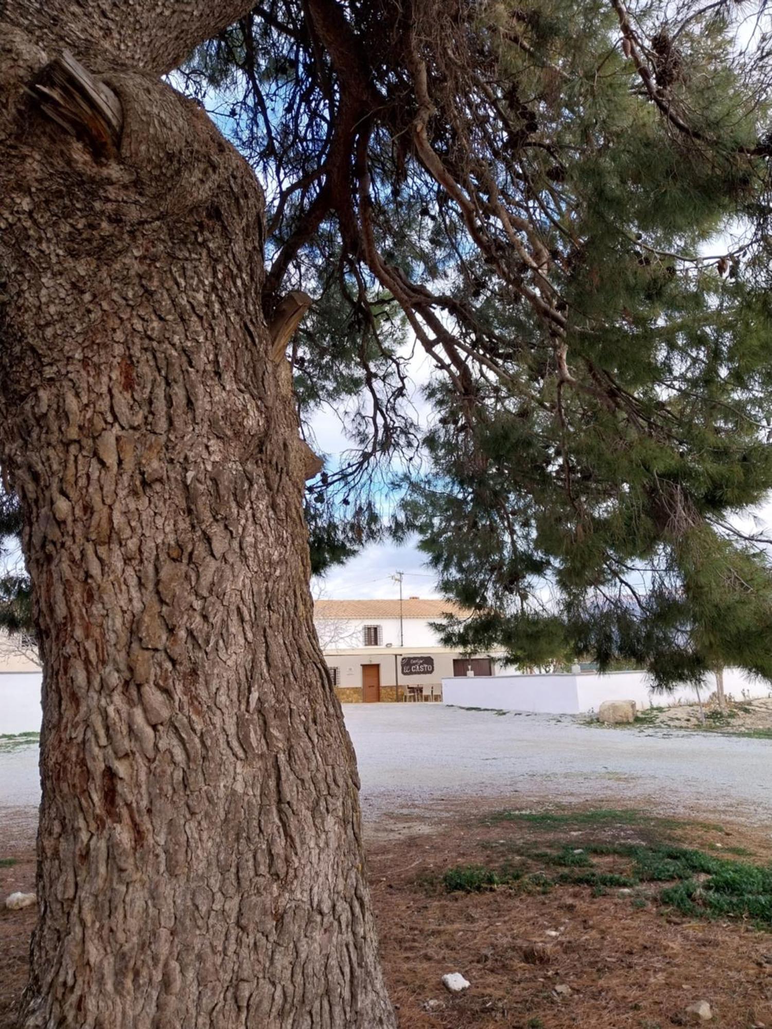 Cortijos Rurales Castril, El Casto Villa Екстериор снимка